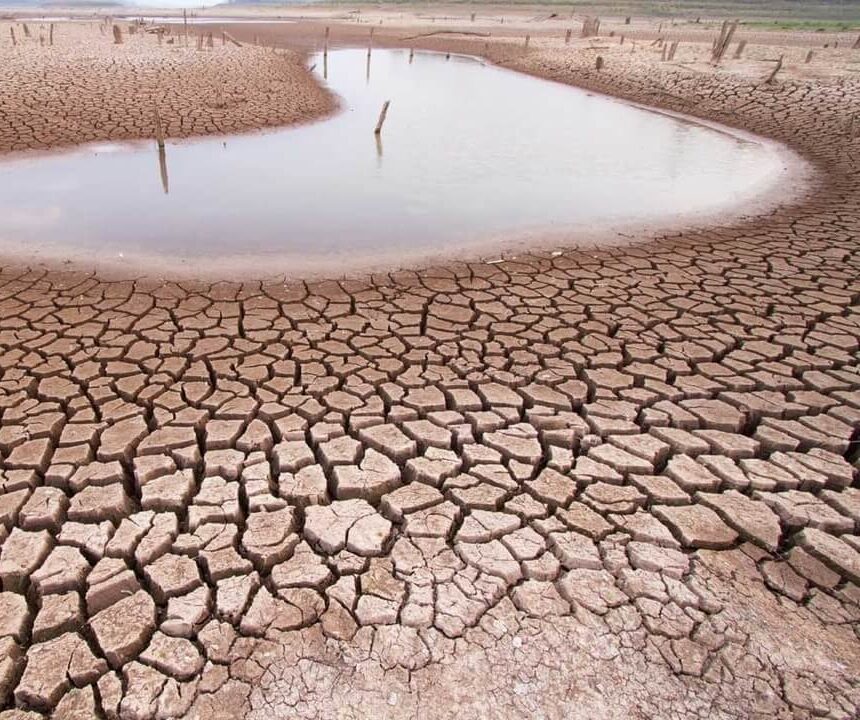 Drought