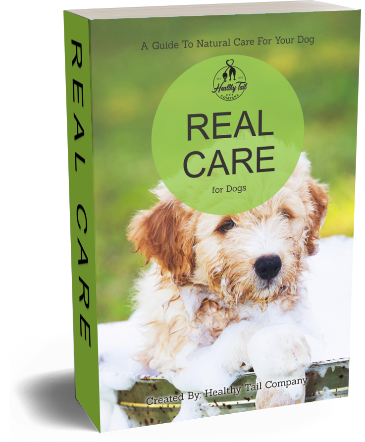 Real-Care-Dogs-3d