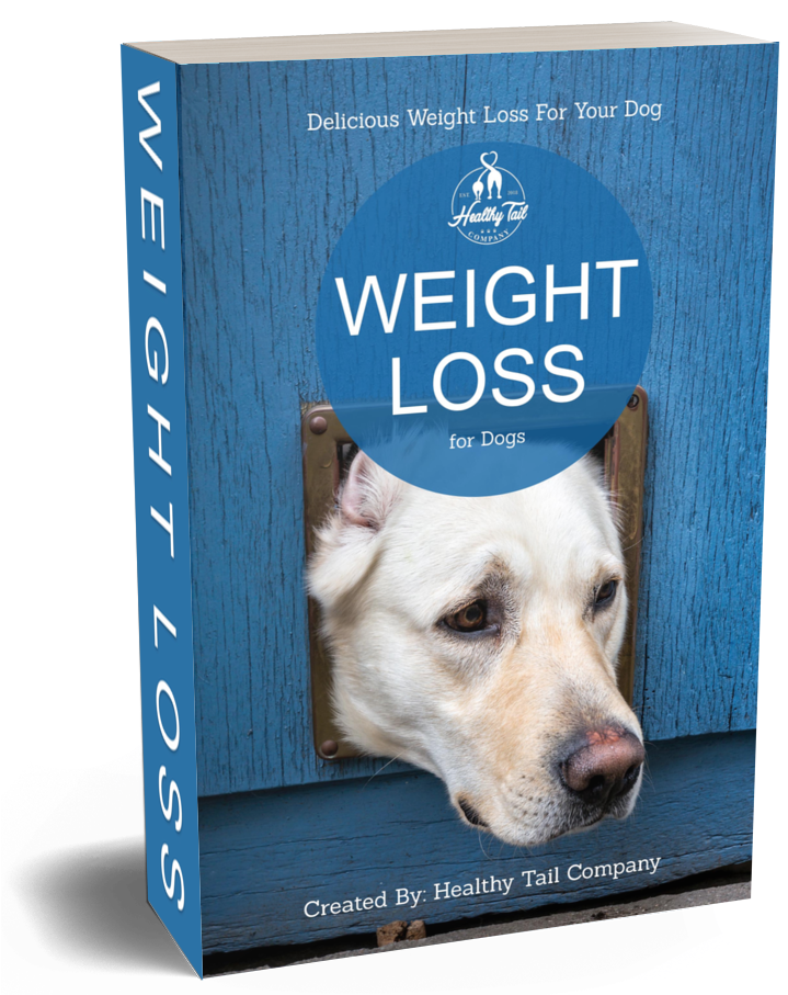 WEIGHT-LOSS-DOGS-3D