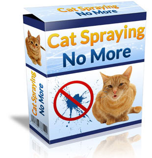 box image
