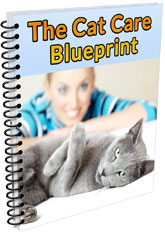 cat-blueprint