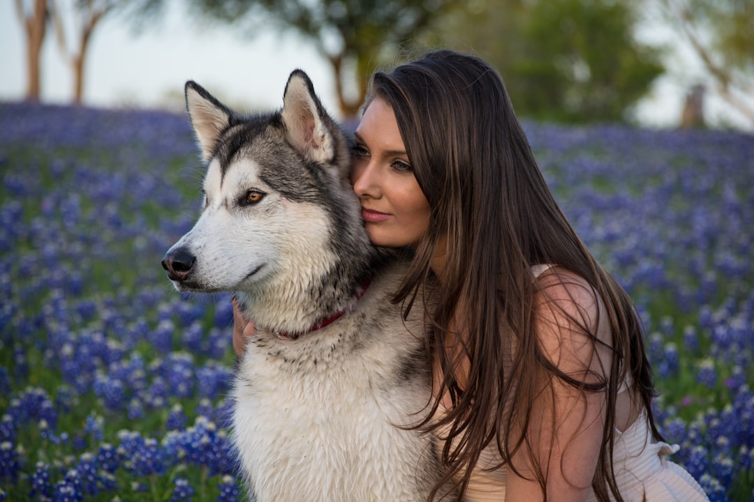 Photo by Michael Hardy woman beside white and black Siberian husky with purple flowers